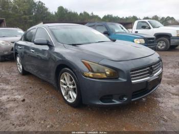  Salvage Nissan Maxima