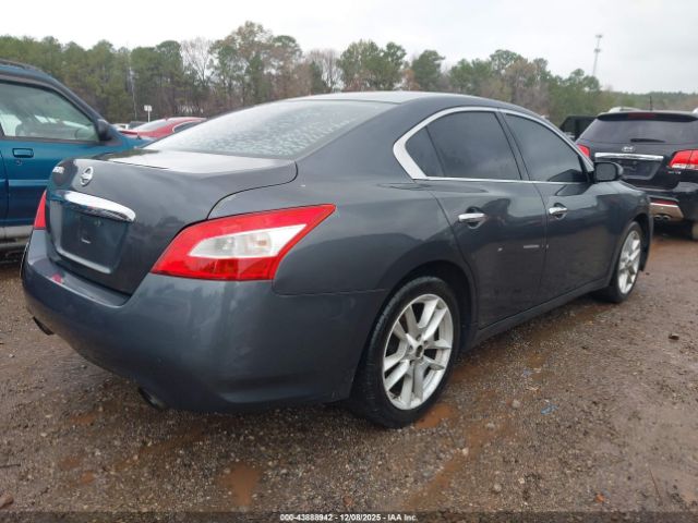 Nissan Maxima 3.5 S Image 6