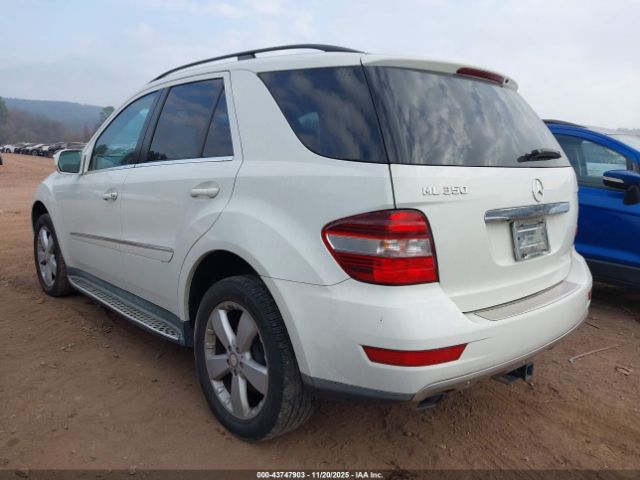 Mercedes-Benz M-Class Image 4