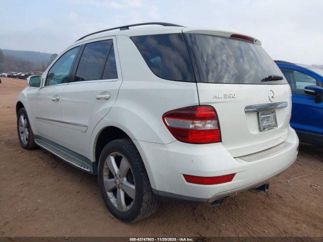 Mercedes-Benz M-Class Image 4