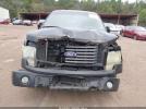 Ford F-150 Fx2 Sport Image 14