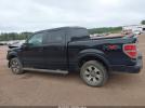 Ford F-150 Fx2 Sport Image 5