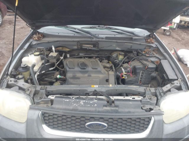 Ford Escape Xlt Image 2