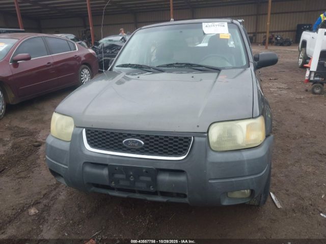 Ford Escape Xlt Image 15