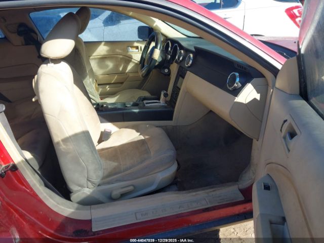 Ford Mustang Image 4