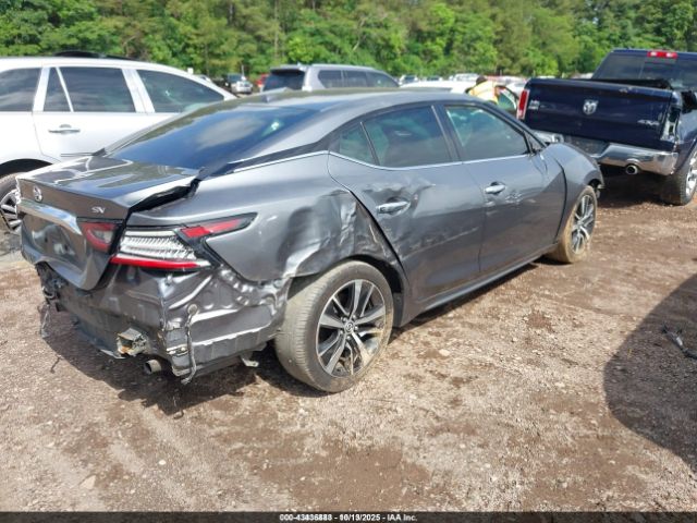 Nissan Maxima Sv Xtronic Cvt Image 6
